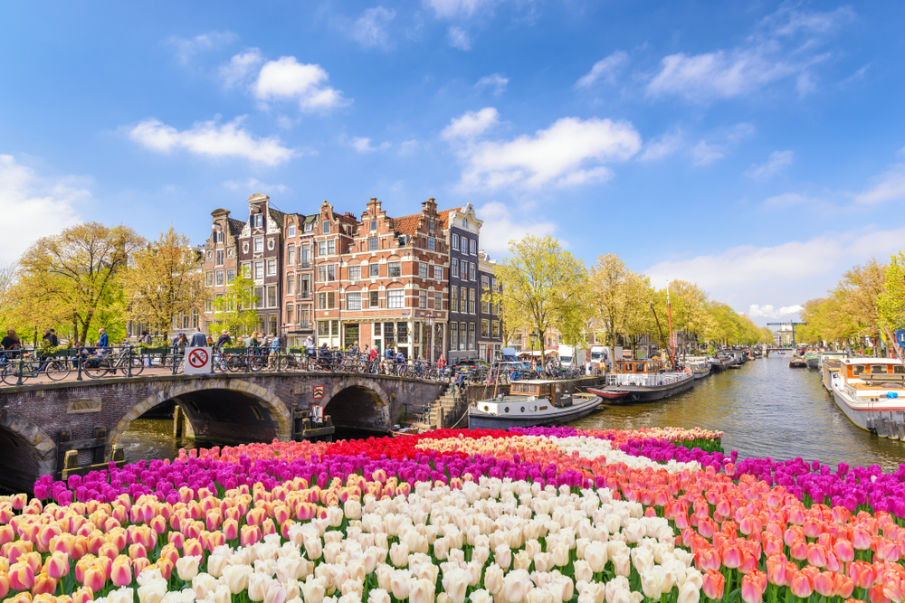 Amsterdam Tulips River Cruise