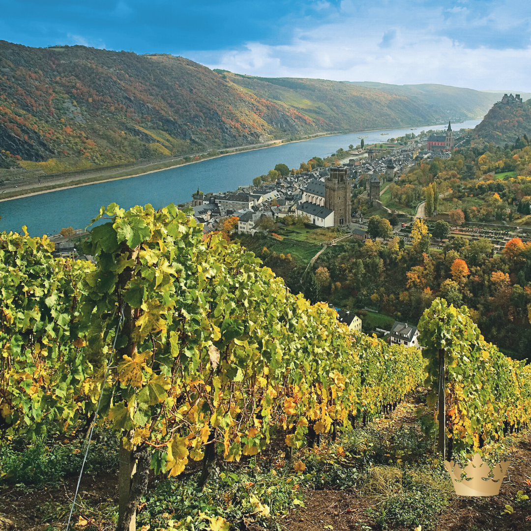 Rhine river cruise with vineyards