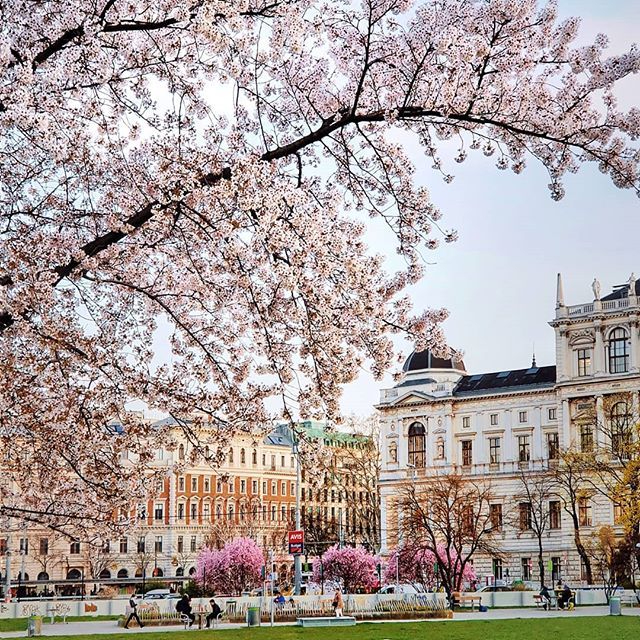 Vienna in Spring